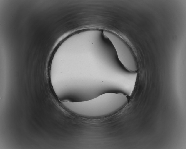 X0000086781230200705041521