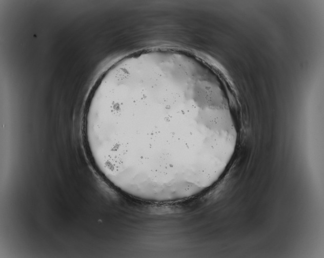 X0000086781231200705041521