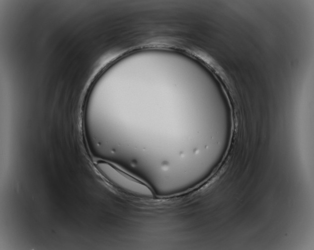 X0000086781232200705041521