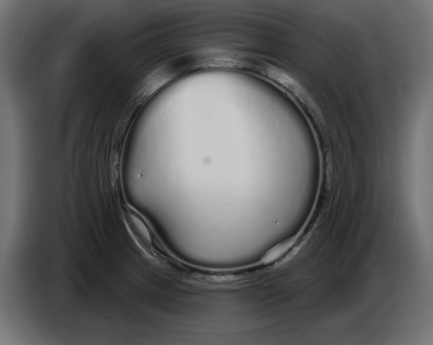 X0000086781233200705041521