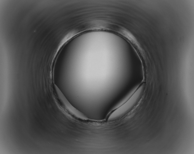 X0000086781234200705041521