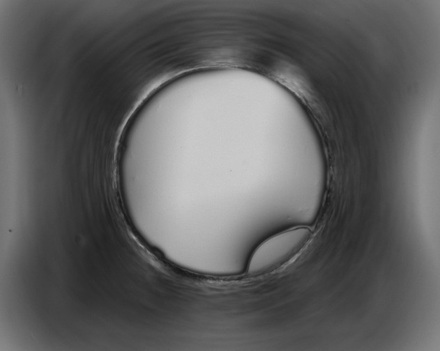 X0000086781236200705041522