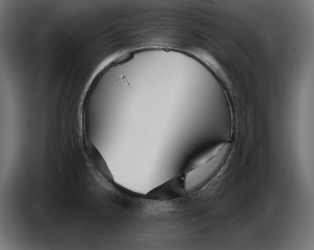 X0000086781238200705041522