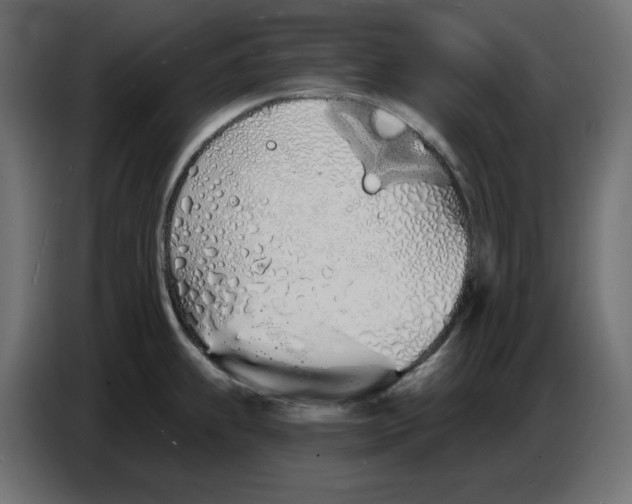 X0000086781239200705041522