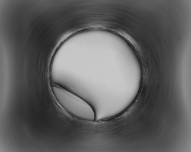 X0000086781240200705041522