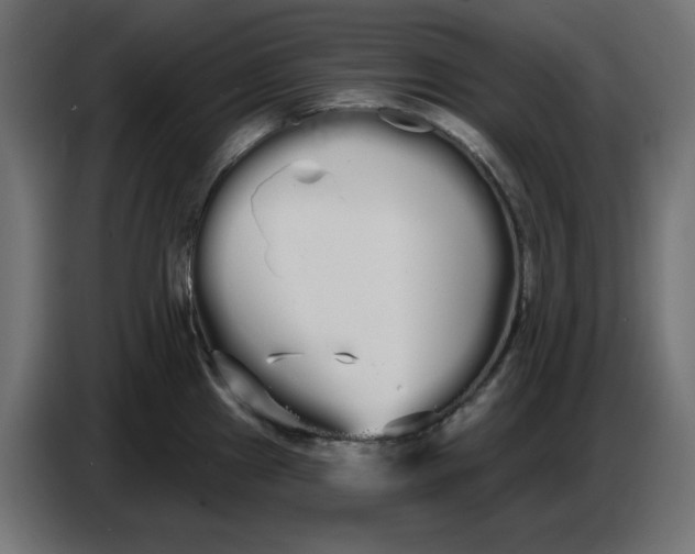 X0000086781241200705041522