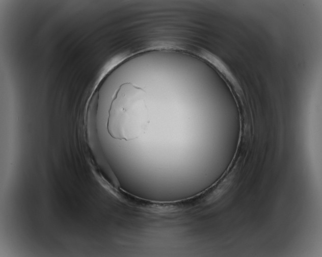 X0000086781242200705041522