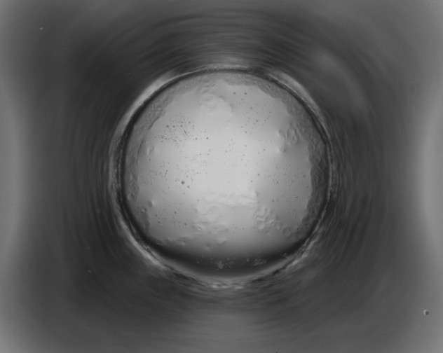 X0000086781243200705041522