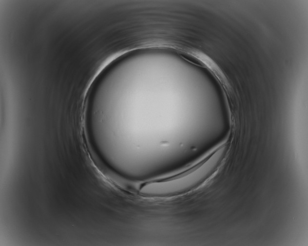 X0000086781244200705041522