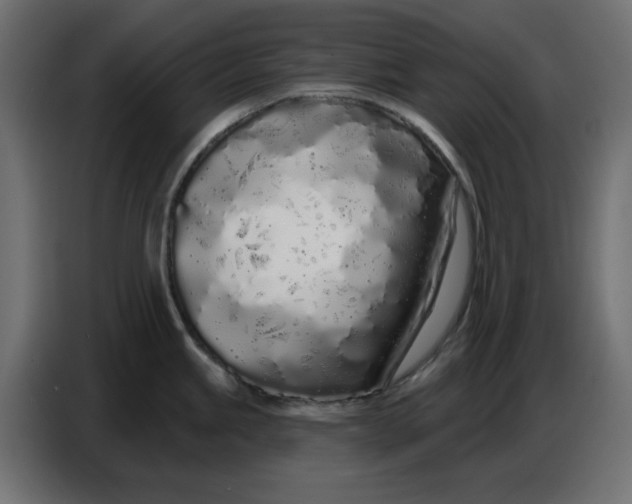 X0000086781245200705041522