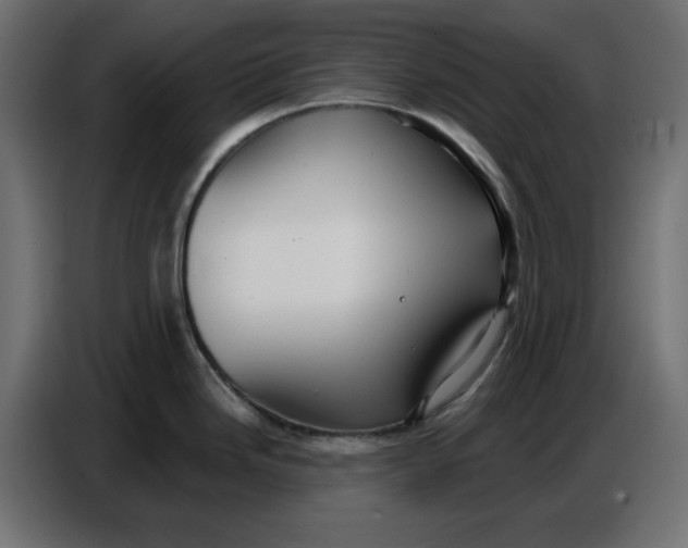 X0000086781246200705041522