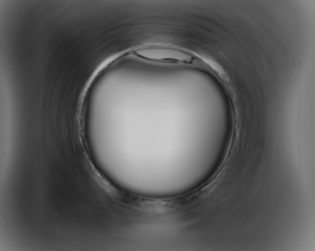 X0000086781248200705041522