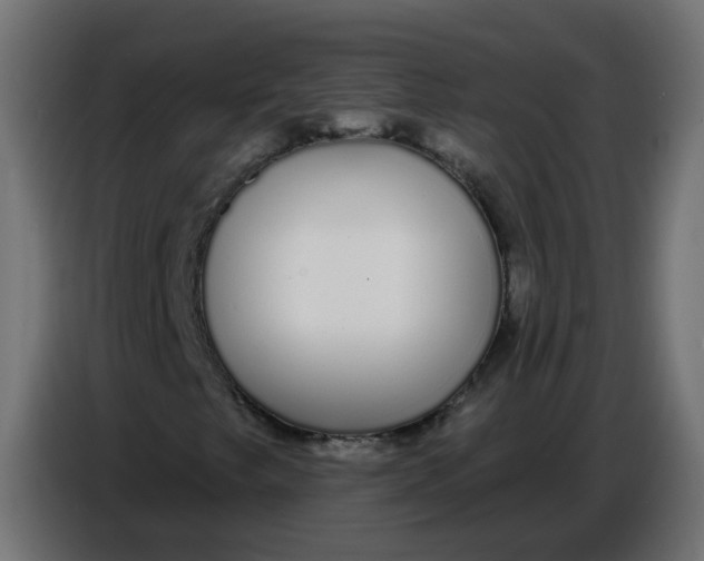 X0000086781249200705041521