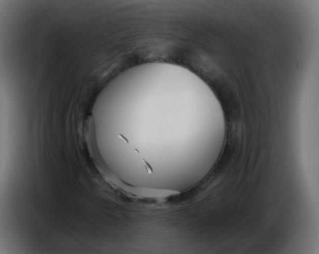 X0000086781250200705041521