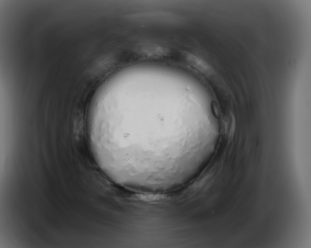 X0000086781251200705041521