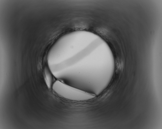 X0000086781252200705041521