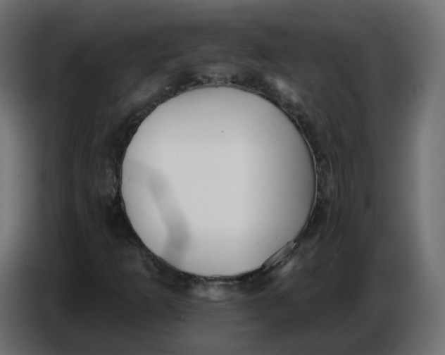 X0000086781253200705041521