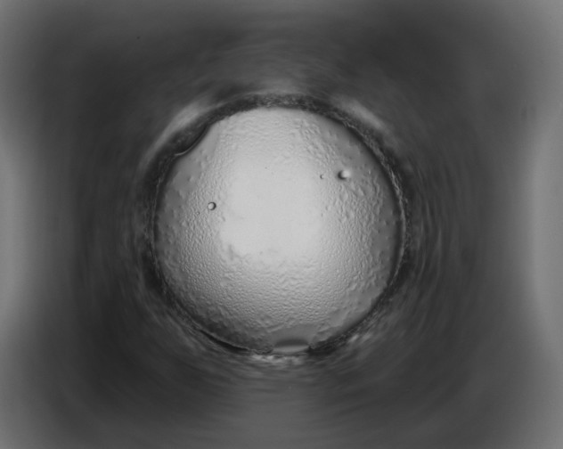 X0000086781255200705041521