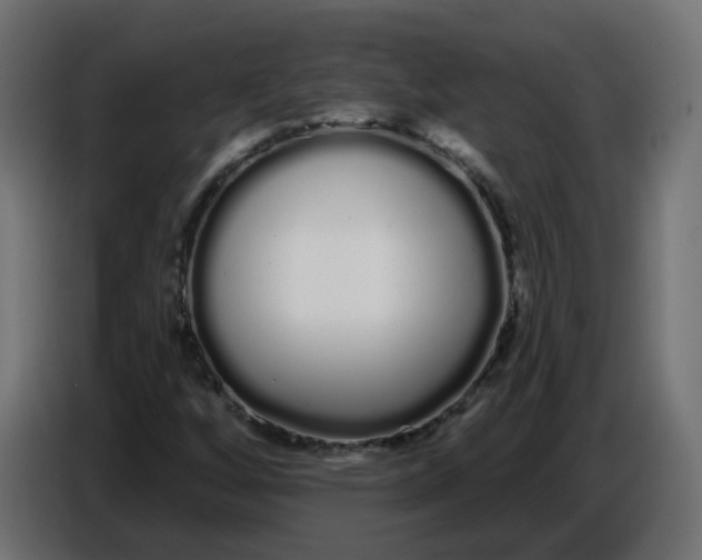 X0000086781256200705041521