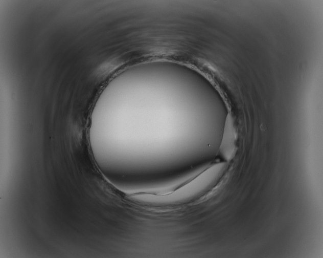 X0000086781257200705041521