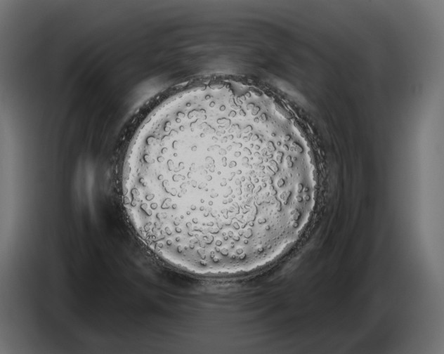 X0000086781258200705041521