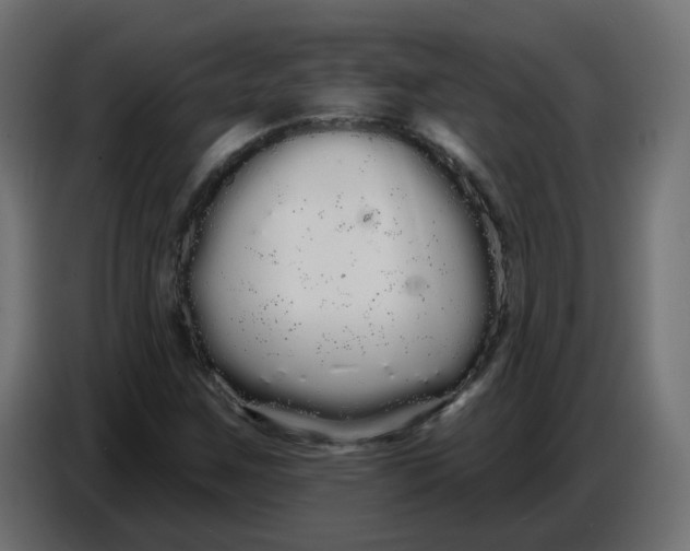 X0000086781259200705041521