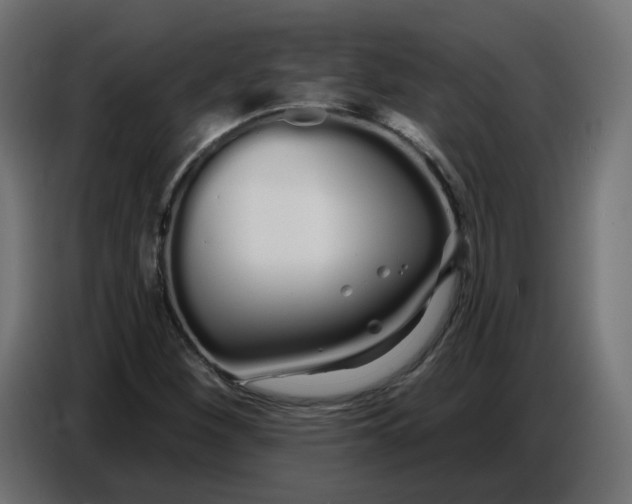 X0000086781260200705041521