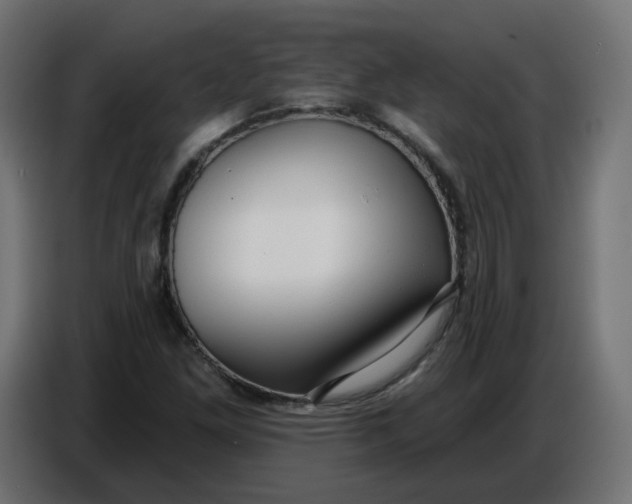 X0000086781261200705041521