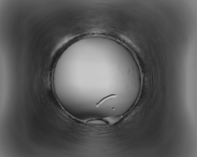 X0000086781262200705041521