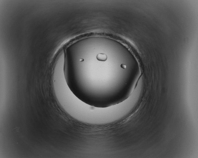 X0000086781263200705041521