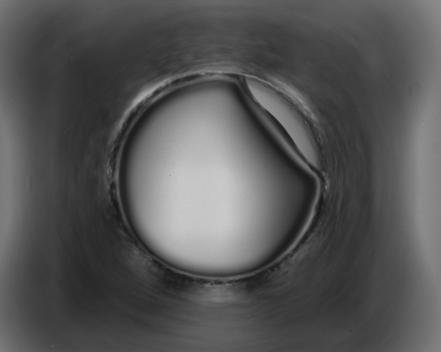 X0000086781264200705041521