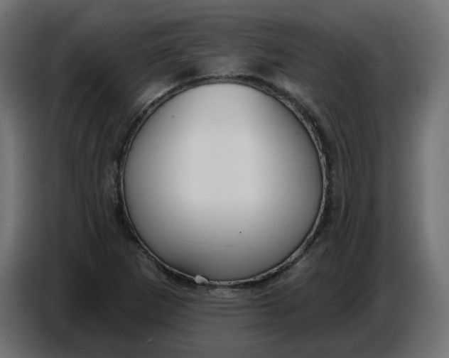 X0000086781265200705041521