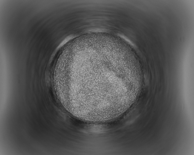 X0000086781266200705041521