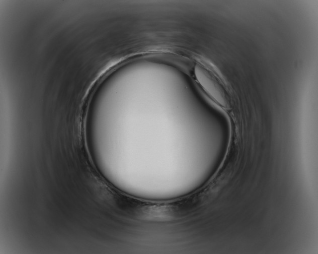 X0000086781268200705041521