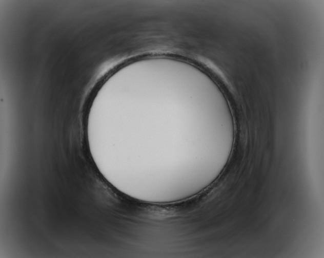 X0000086781270200705041521