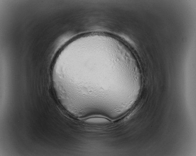 X0000086781271200705041521