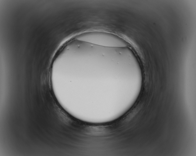 X0000086781272200705041521