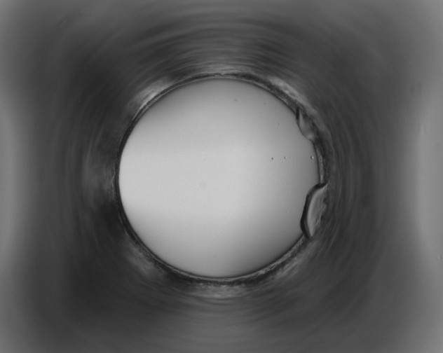 X0000086781273200705041521