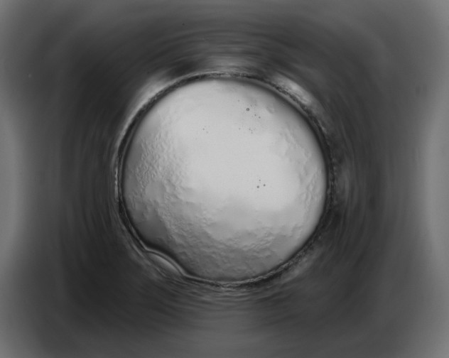 X0000086781275200705041521