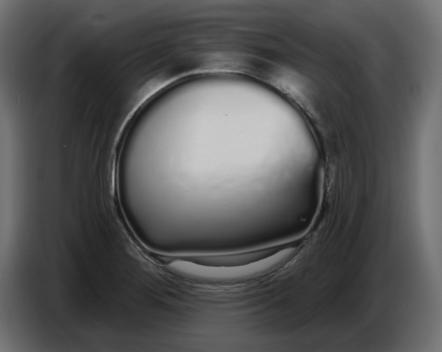 X0000086781276200705041521