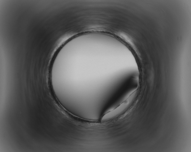 X0000086781277200705041521