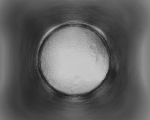 X0000086781279200705041521