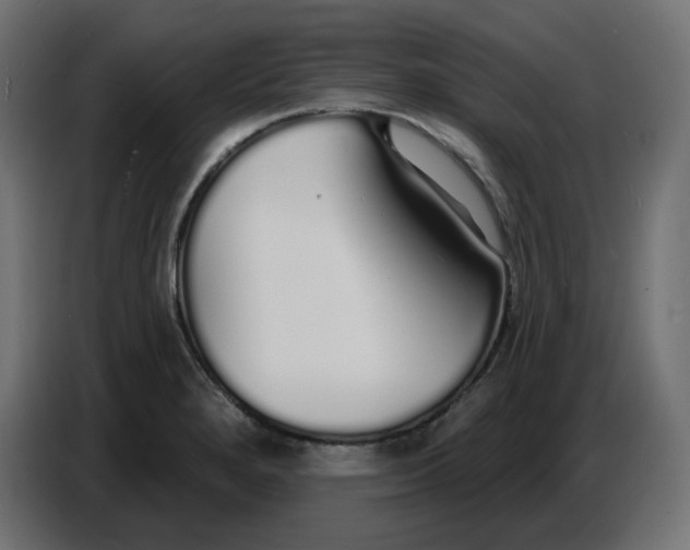 X0000086781280200705041521