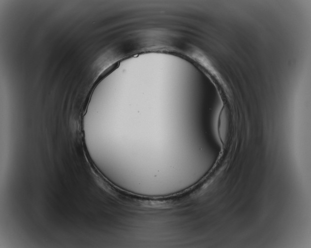 X0000086781281200705041521