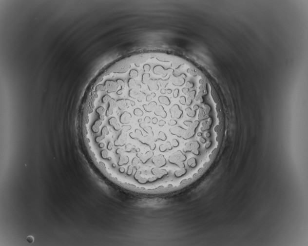 X0000086781282200705041521