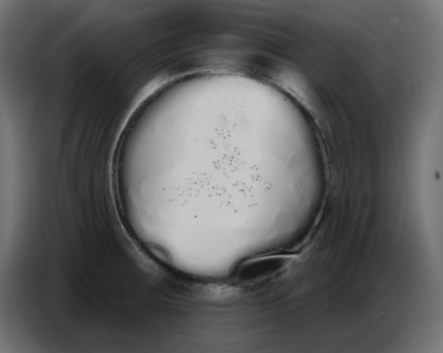 X0000086781283200705041521