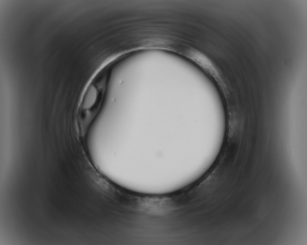 X0000086781284200705041521