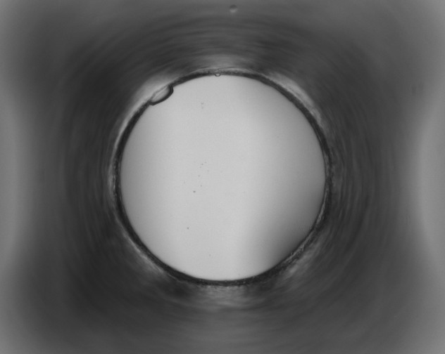 X0000086781285200705041521