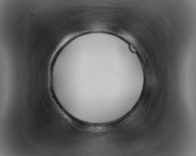 X0000086781286200705041521