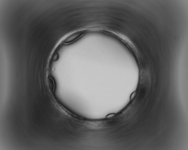 X0000086781288200705041521